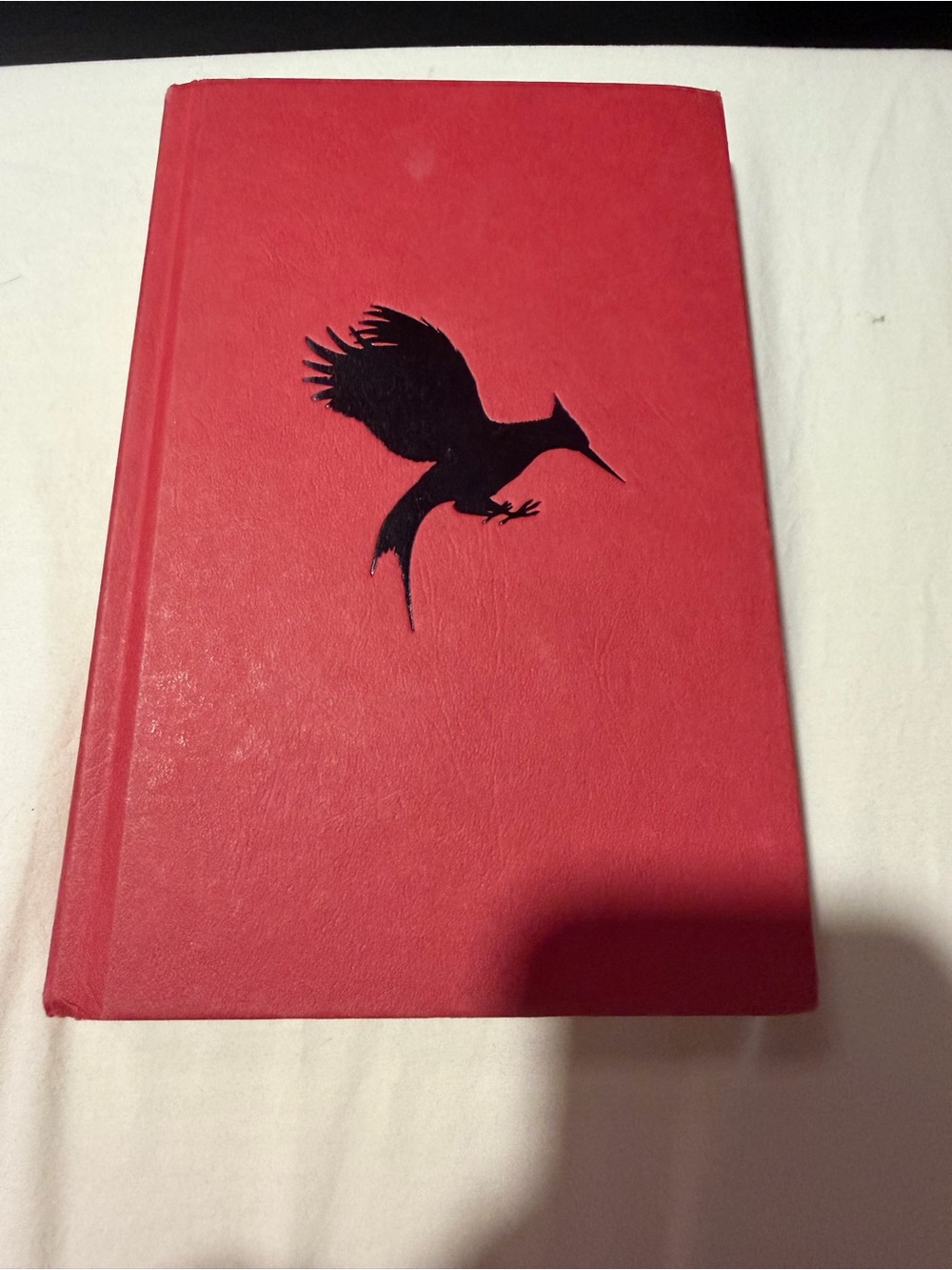 The Hunger Games - Catching Fire